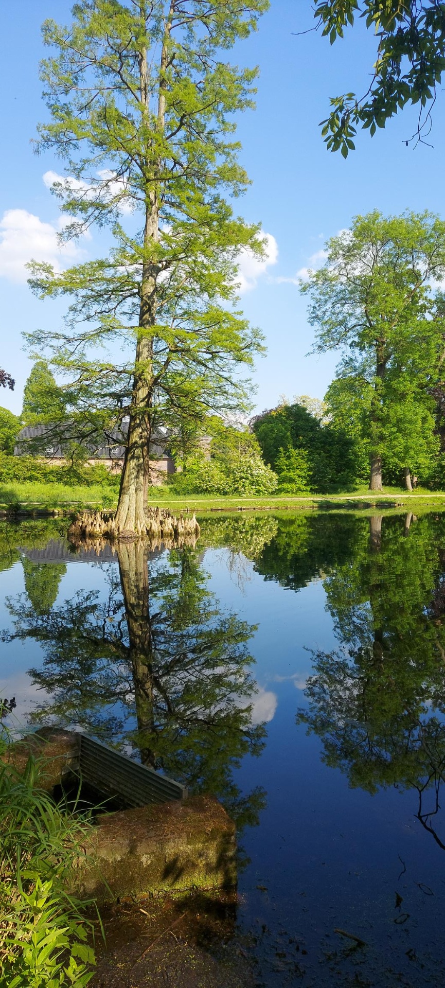 Heltorf - vor dem Schloss
